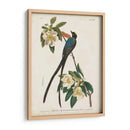 Pl 168 Forro De Cola De Tenedor - John James Audubon | Cuadro decorativo de Canvas Lab