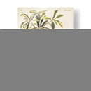 Pl 185 Bachmans Bachmans - John James Audubon | Cuadro decorativo de Canvas Lab