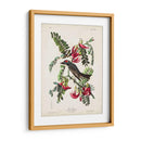 Pp 170 Pipiry Flycatcher - John James Audubon | Cuadro decorativo de Canvas Lab