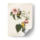 Pl 20 Curruca Amarilla De Alas Azules - John James Audubon | Cuadro decorativo de Canvas Lab