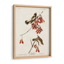 Pl 54 Aves De Arroz - John James Audubon | Cuadro decorativo de Canvas Lab