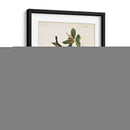 Pl 133 Curruca De Encuesta Negra - John James Audubon | Cuadro decorativo de Canvas Lab