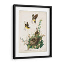 Pl 137 Chat De Pecho Amarillo - John James Audubon | Cuadro decorativo de Canvas Lab