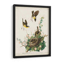 Pl 137 Chat De Pecho Amarillo - John James Audubon | Cuadro decorativo de Canvas Lab