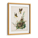 Pl 137 Chat De Pecho Amarillo - John James Audubon | Cuadro decorativo de Canvas Lab