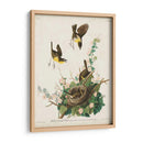 Pl 137 Chat De Pecho Amarillo - John James Audubon | Cuadro decorativo de Canvas Lab