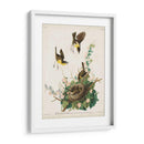Pl 137 Chat De Pecho Amarillo - John James Audubon | Cuadro decorativo de Canvas Lab