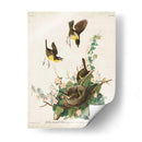 Pl 137 Chat De Pecho Amarillo - John James Audubon | Cuadro decorativo de Canvas Lab