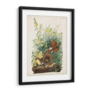 Pl 136 Meadow Lark - John James Audubon | Cuadro decorativo de Canvas Lab