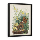 Pl 136 Meadow Lark - John James Audubon | Cuadro decorativo de Canvas Lab