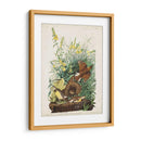 Pl 136 Meadow Lark - John James Audubon | Cuadro decorativo de Canvas Lab