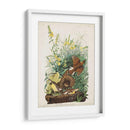 Pl 136 Meadow Lark - John James Audubon | Cuadro decorativo de Canvas Lab