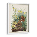Pl 136 Meadow Lark - John James Audubon | Cuadro decorativo de Canvas Lab