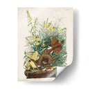Pl 136 Meadow Lark - John James Audubon | Cuadro decorativo de Canvas Lab