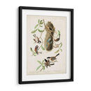 Pl 353 Black-Capt Titmouse - John James Audubon | Cuadro decorativo de Canvas Lab