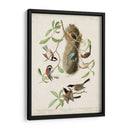 Pl 353 Black-Capt Titmouse - John James Audubon | Cuadro decorativo de Canvas Lab