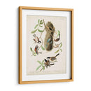 Pl 353 Black-Capt Titmouse - John James Audubon | Cuadro decorativo de Canvas Lab