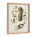 Pl 353 Black-Capt Titmouse - John James Audubon | Cuadro decorativo de Canvas Lab