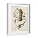 Pl 353 Black-Capt Titmouse - John James Audubon | Cuadro decorativo de Canvas Lab