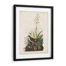 Pl 164 Tawny Thrush - John James Audubon | Cuadro decorativo de Canvas Lab