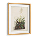 Pl 164 Tawny Thrush - John James Audubon | Cuadro decorativo de Canvas Lab