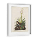 Pl 164 Tawny Thrush - John James Audubon | Cuadro decorativo de Canvas Lab
