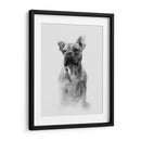 Retrato Pug I - Gerard Paul Deshayes | Cuadro decorativo de Canvas Lab