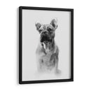 Retrato Pug I - Gerard Paul Deshayes | Cuadro decorativo de Canvas Lab