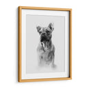 Retrato Pug I - Gerard Paul Deshayes | Cuadro decorativo de Canvas Lab