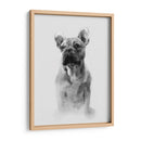 Retrato Pug I - Gerard Paul Deshayes | Cuadro decorativo de Canvas Lab