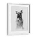 Retrato Pug I - Gerard Paul Deshayes | Cuadro decorativo de Canvas Lab