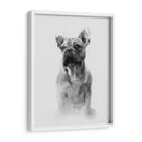 Retrato Pug I - Gerard Paul Deshayes | Cuadro decorativo de Canvas Lab