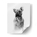 Retrato Pug I - Gerard Paul Deshayes | Cuadro decorativo de Canvas Lab