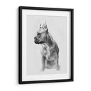 Pug Retrato Ii - Gerard Paul Deshayes | Cuadro decorativo de Canvas Lab