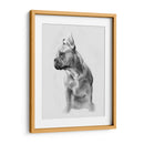 Pug Retrato Ii - Gerard Paul Deshayes | Cuadro decorativo de Canvas Lab