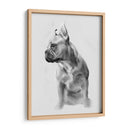 Pug Retrato Ii - Gerard Paul Deshayes | Cuadro decorativo de Canvas Lab