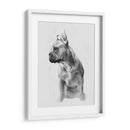 Pug Retrato Ii - Gerard Paul Deshayes | Cuadro decorativo de Canvas Lab