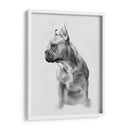 Pug Retrato Ii - Gerard Paul Deshayes | Cuadro decorativo de Canvas Lab