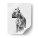 Pug Retrato Ii - Gerard Paul Deshayes | Cuadro decorativo de Canvas Lab