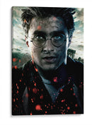 El chico que sobrevivió | Cuadro decorativo de Canvas Lab