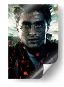 El chico que sobrevivió | Cuadro decorativo de Canvas Lab