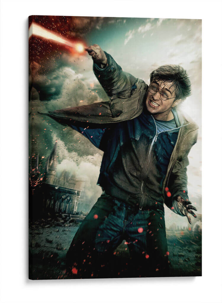 Expelliarmus | Cuadro decorativo de Canvas Lab