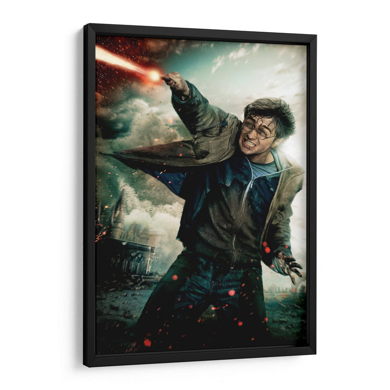 Expelliarmus | Cuadro decorativo de Canvas Lab