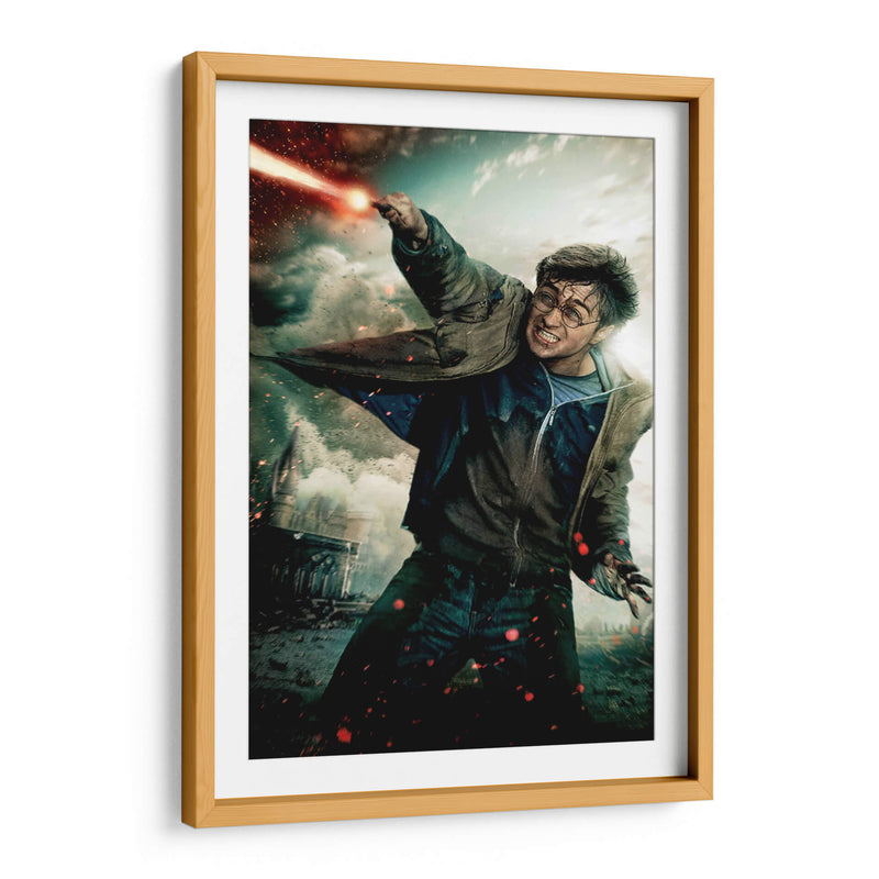 Expelliarmus | Cuadro decorativo de Canvas Lab