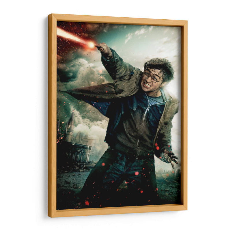 Expelliarmus | Cuadro decorativo de Canvas Lab