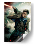 Expelliarmus | Cuadro decorativo de Canvas Lab