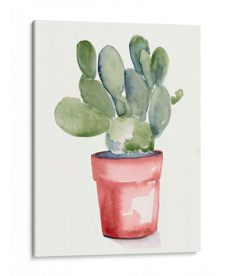 Potted Suculento I - Jennifer Paxton Parker | Cuadro decorativo de Canvas Lab