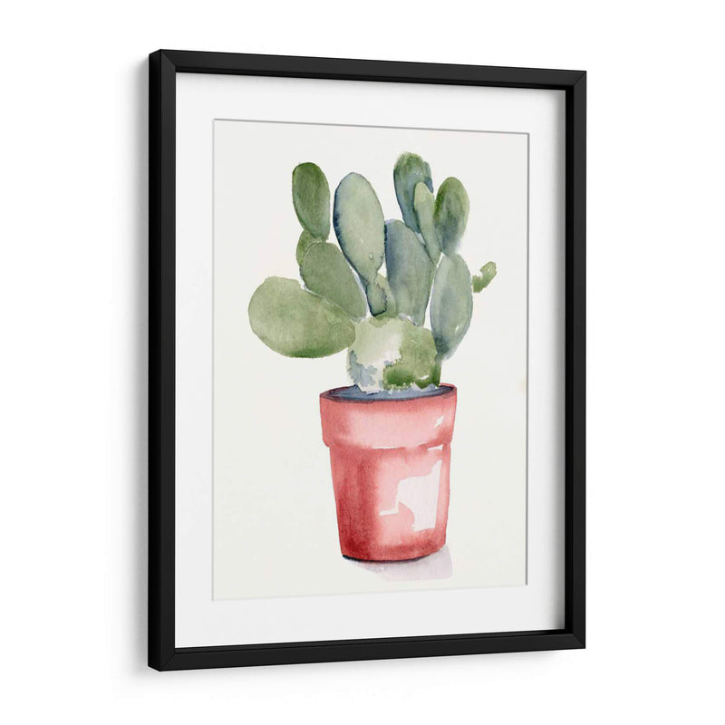 Potted Suculento I - Jennifer Paxton Parker | Cuadro decorativo de Canvas Lab