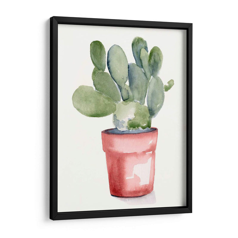 Potted Suculento I - Jennifer Paxton Parker | Cuadro decorativo de Canvas Lab