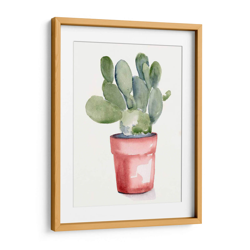 Potted Suculento I - Jennifer Paxton Parker | Cuadro decorativo de Canvas Lab